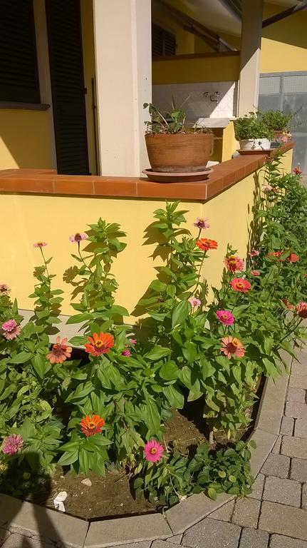 ヴィアレッジョ Nonna Alda Bed & Breakfast エクステリア 写真